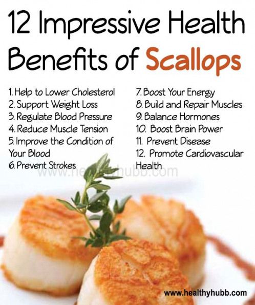 12 Impressive Health Benefits of Scallops! #wellness #nutrition # ...