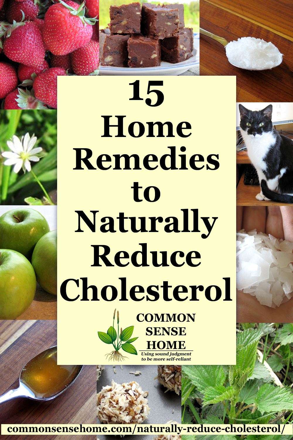 15 Home Remedies to Naturally Reduce Cholesterol ...