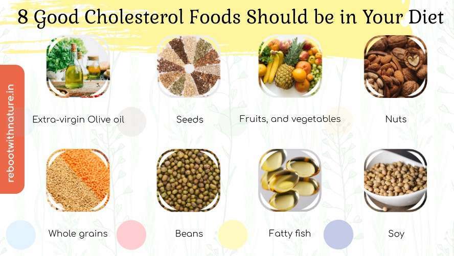 8 Good Cholesterol Foods to Maintain HDL and LDL Levels
