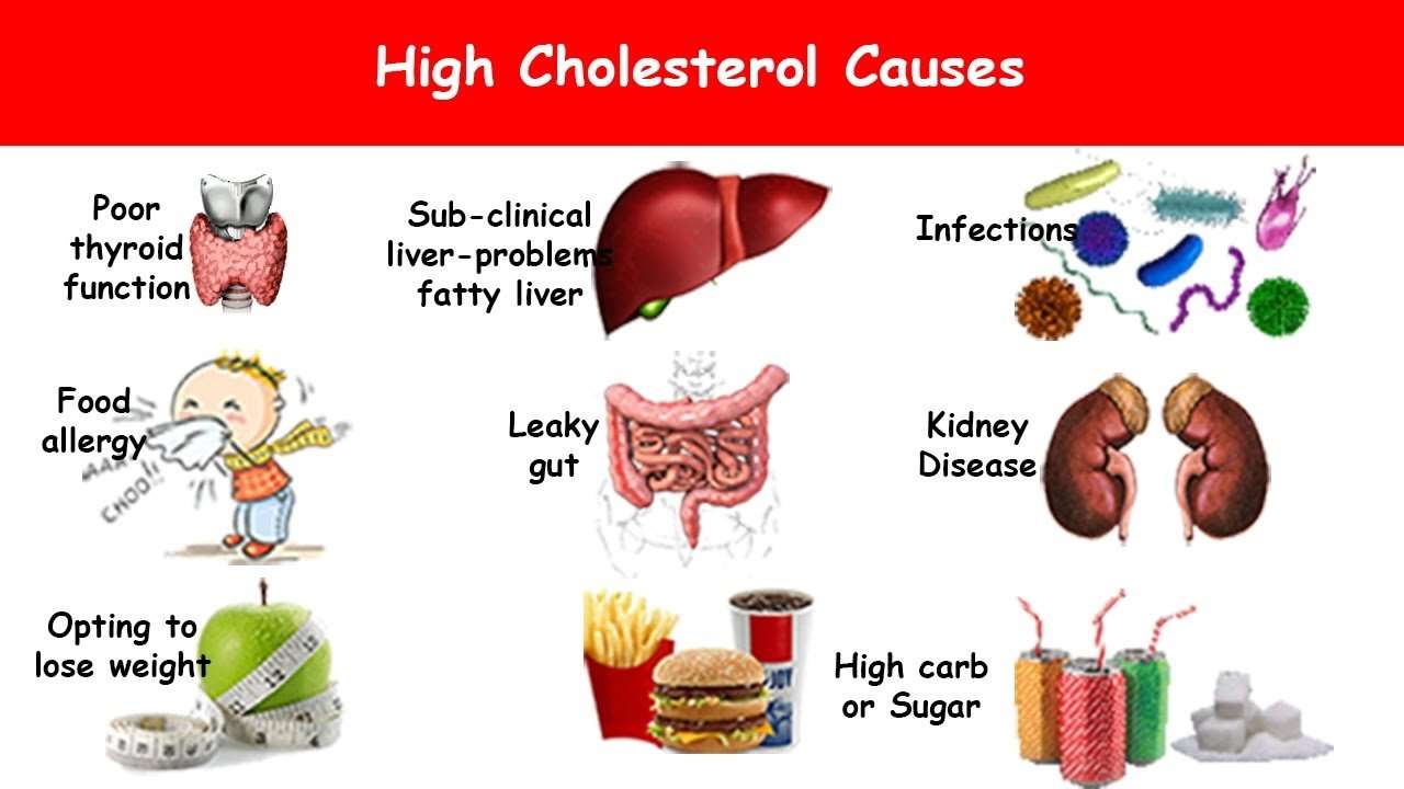 8 High Cholesterol Causes