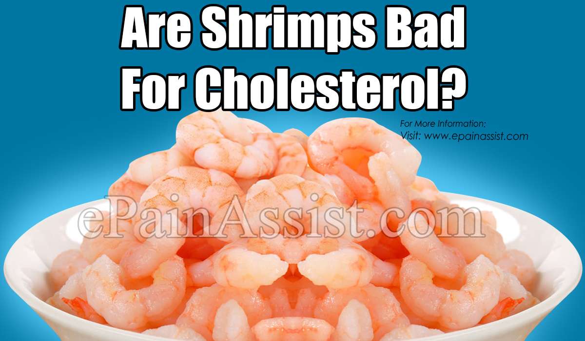 Are Shrimps Bad For Cholesterol?