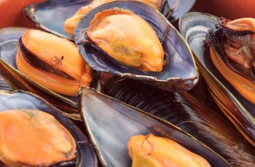 Ask the experts: Cholesterol in seafood