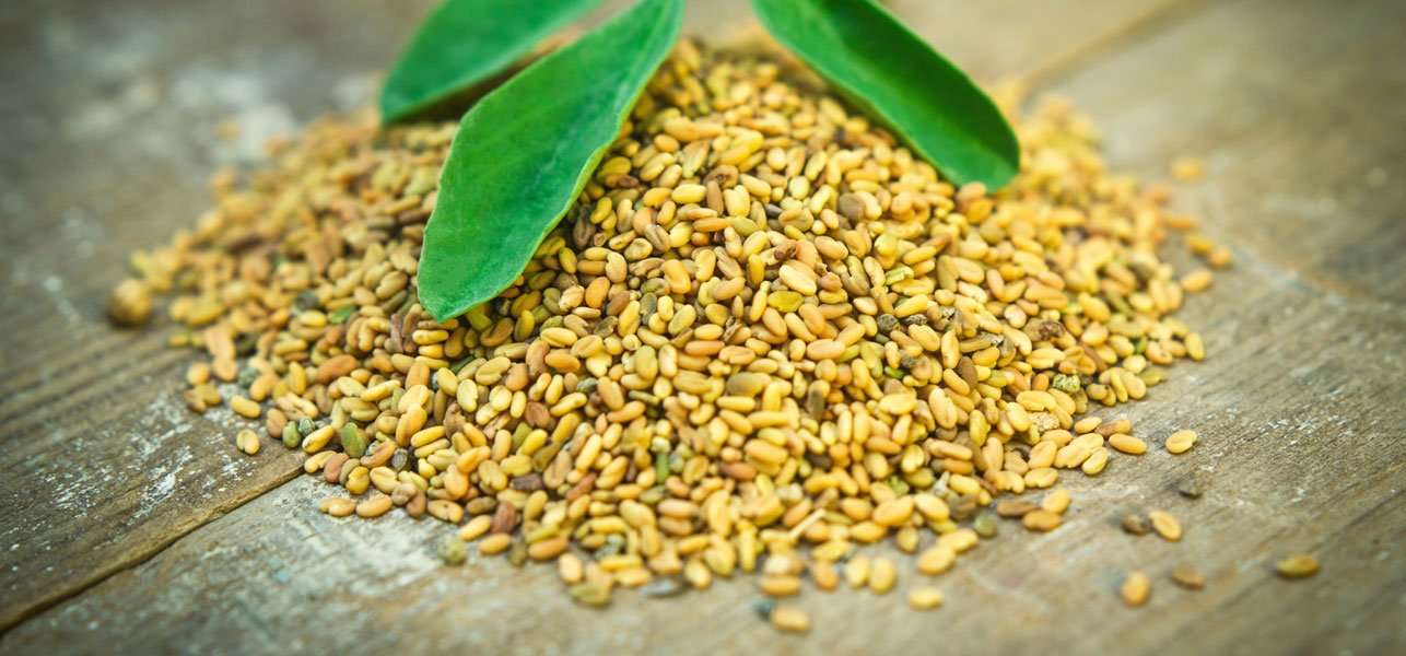 Benefits of Methi seeds / Fenugreek seeds