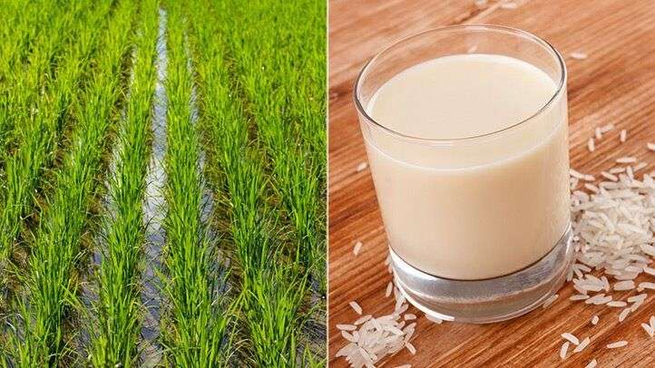 Best and Worst Milks to Drink for Your Cholesterol Levels ...