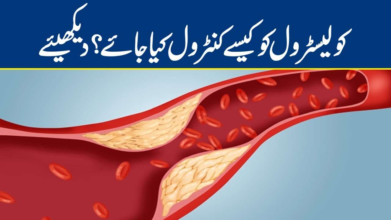 Best Foods That Help Lower Cholesterol Level in Human Body ...