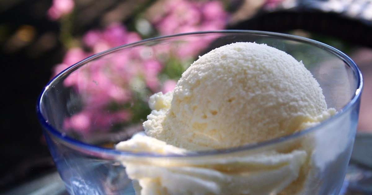 Best Low Fat Ice Cream Recipe / Vegan Peanut Butter Ice ...