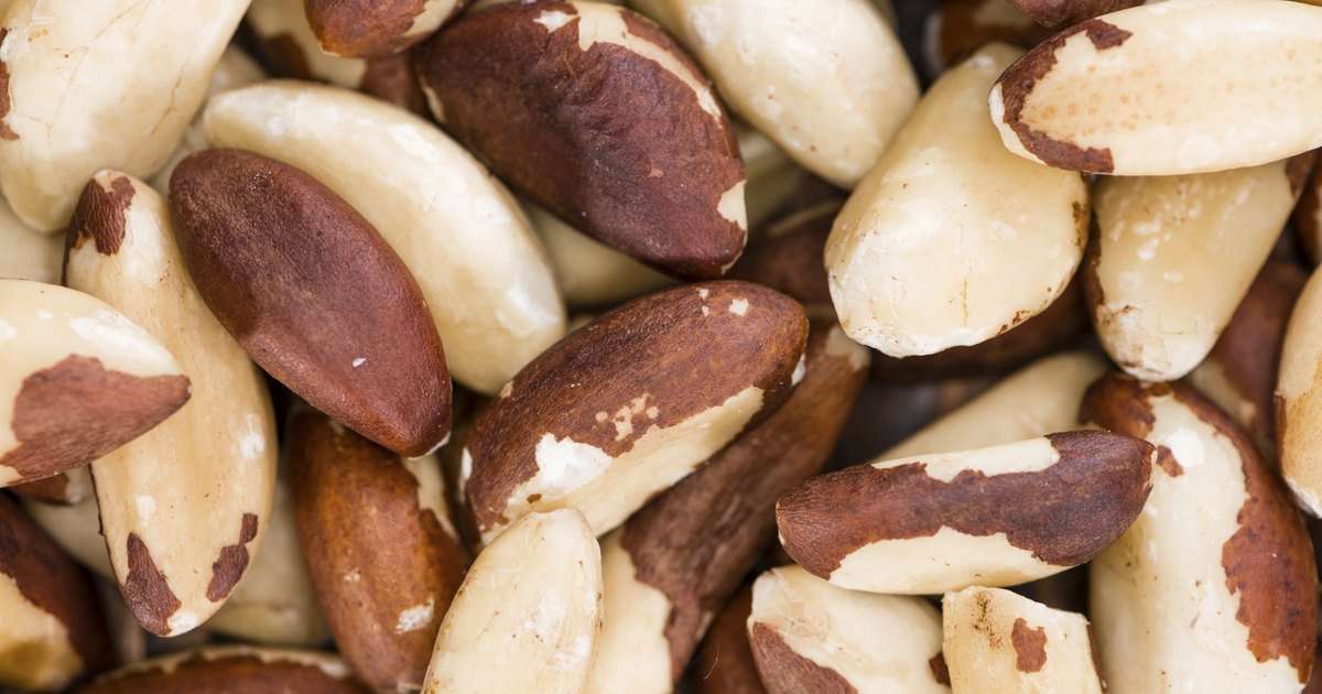 Brazil Nuts and Cholesterol