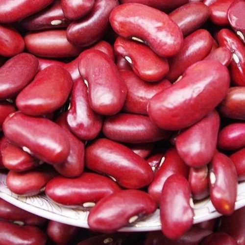 Buy Pure Kashmiri Red Kidney Beans (Rajma) 400 gms at Best ...