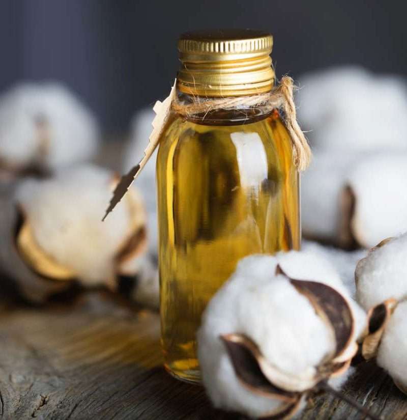Can cottonseed oil help lower your 