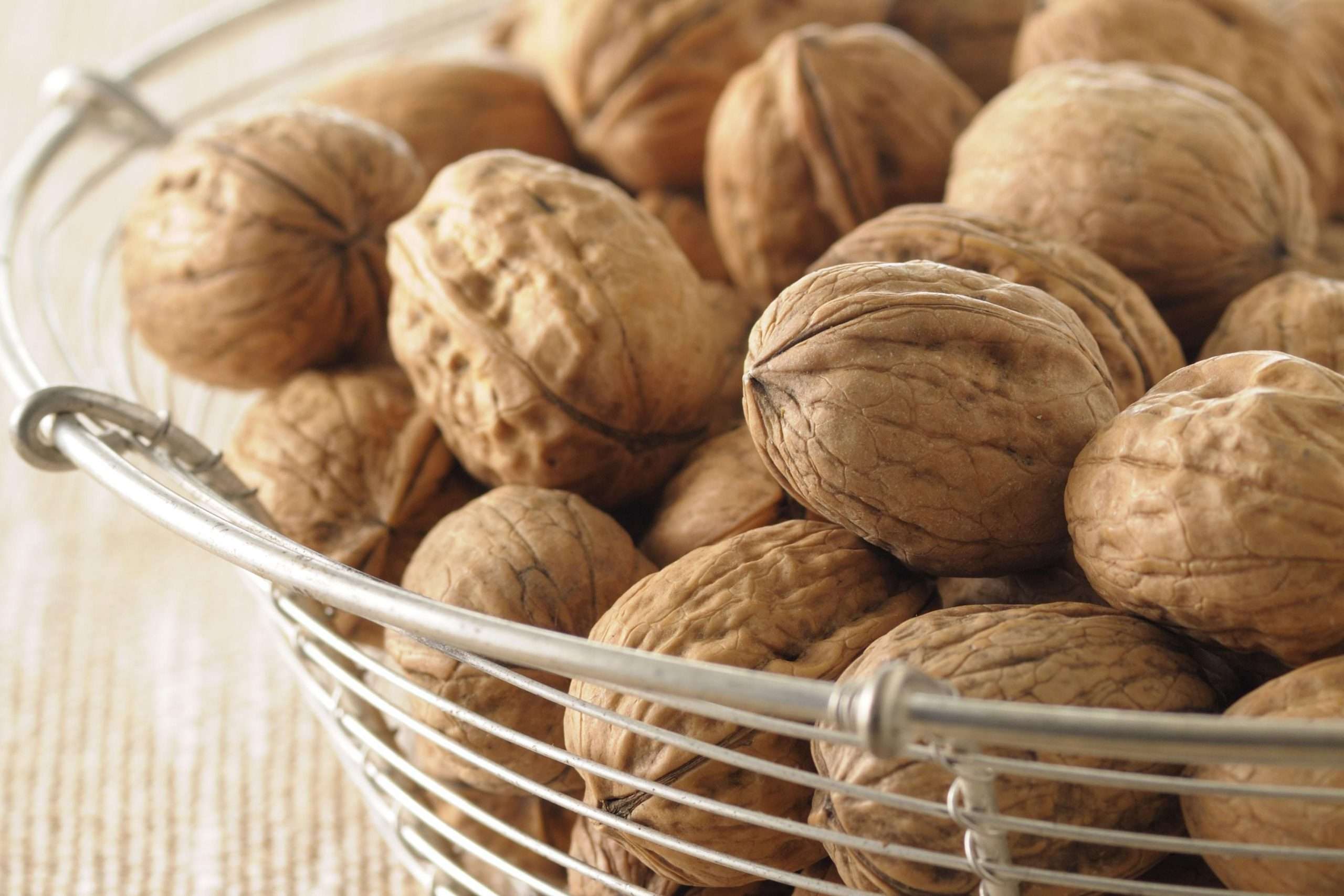 Can Eating Walnuts Help Lower Your Cholesterol?
