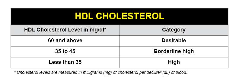 Cholesterol Charts: Explaining Your Cholesterol Levels