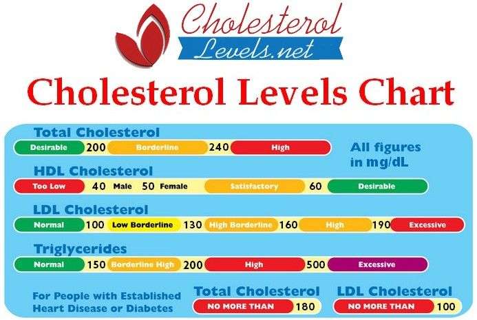 Cholesterol Levels Explained: HDL, LDL, Total ...