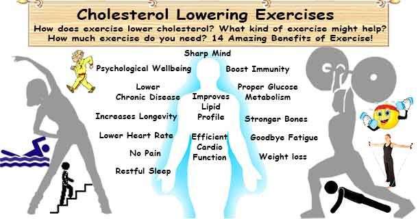 Cholesterol Lowering Exercises