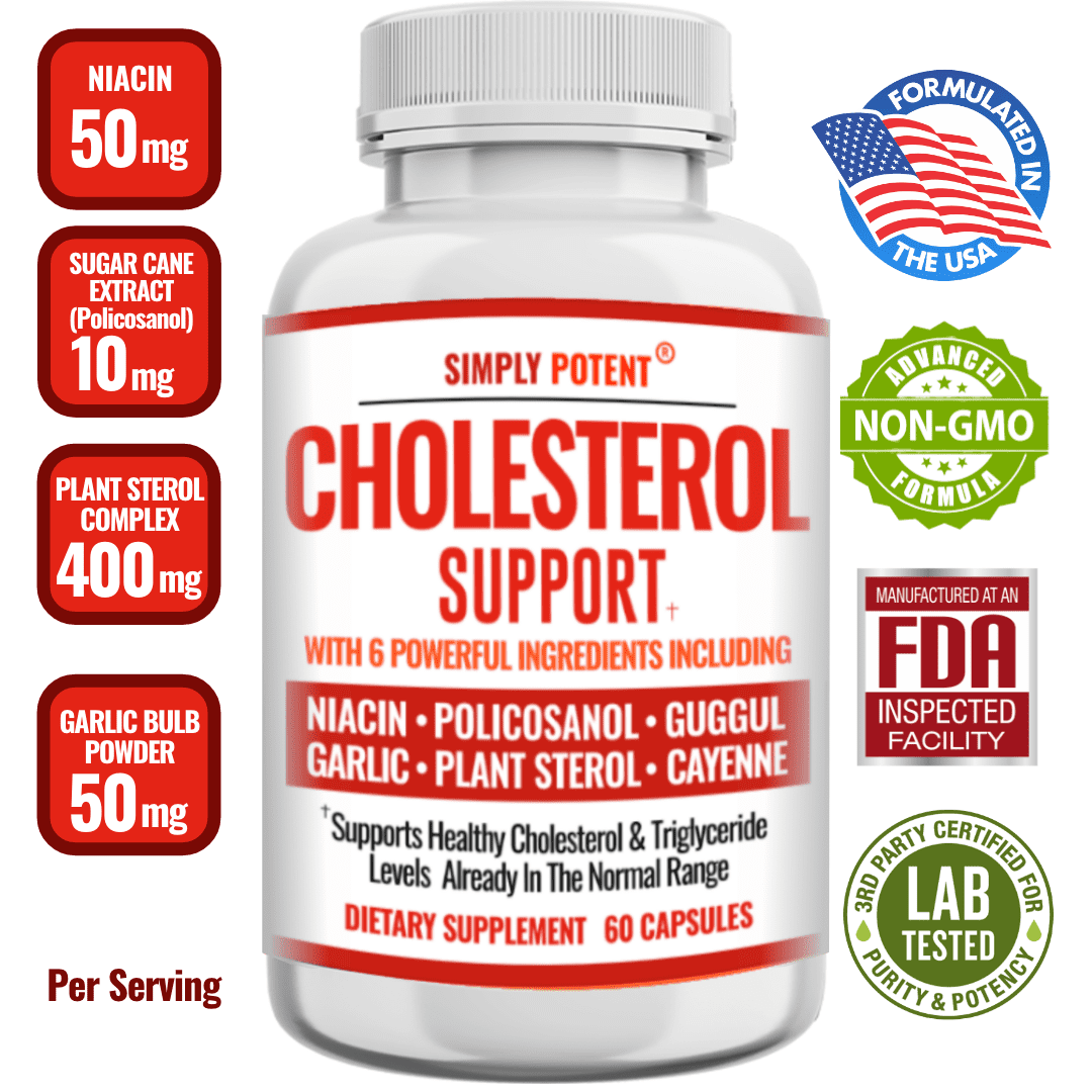 Cholesterol Support Supplement for Heart Health with Niacin and Garlic ...