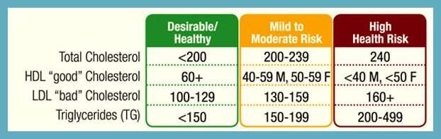 Cholesterol Test  What the Result Numbers Indicate?  all ...