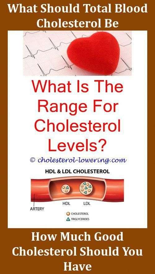 Cholesteroldefinition What Foods Raise Bad Cholesterol ...