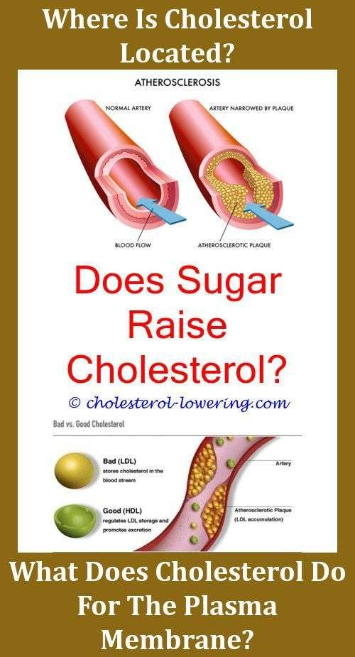 Cholesterollevels How Much Cholesterol In 0p?,how to ...