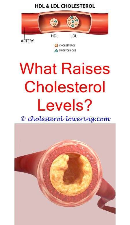 cholesterollevels how to lower triglycerides and raise good cholesterol ...