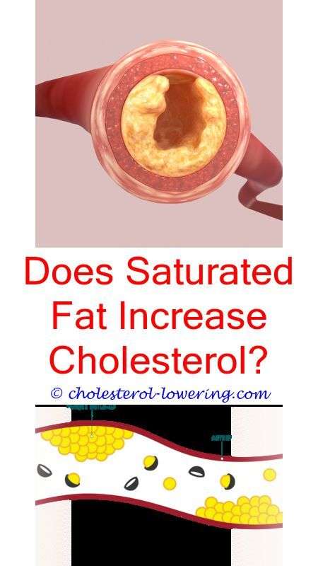 #cholesterolratio how much cholesterol is in whey protein ...