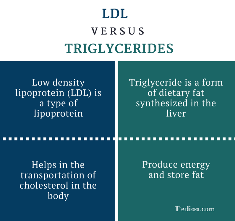 Difference Between LDL and Triglycerides
