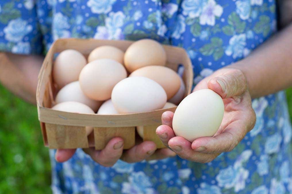 Do Eggs Raise Cholesterol Levels?