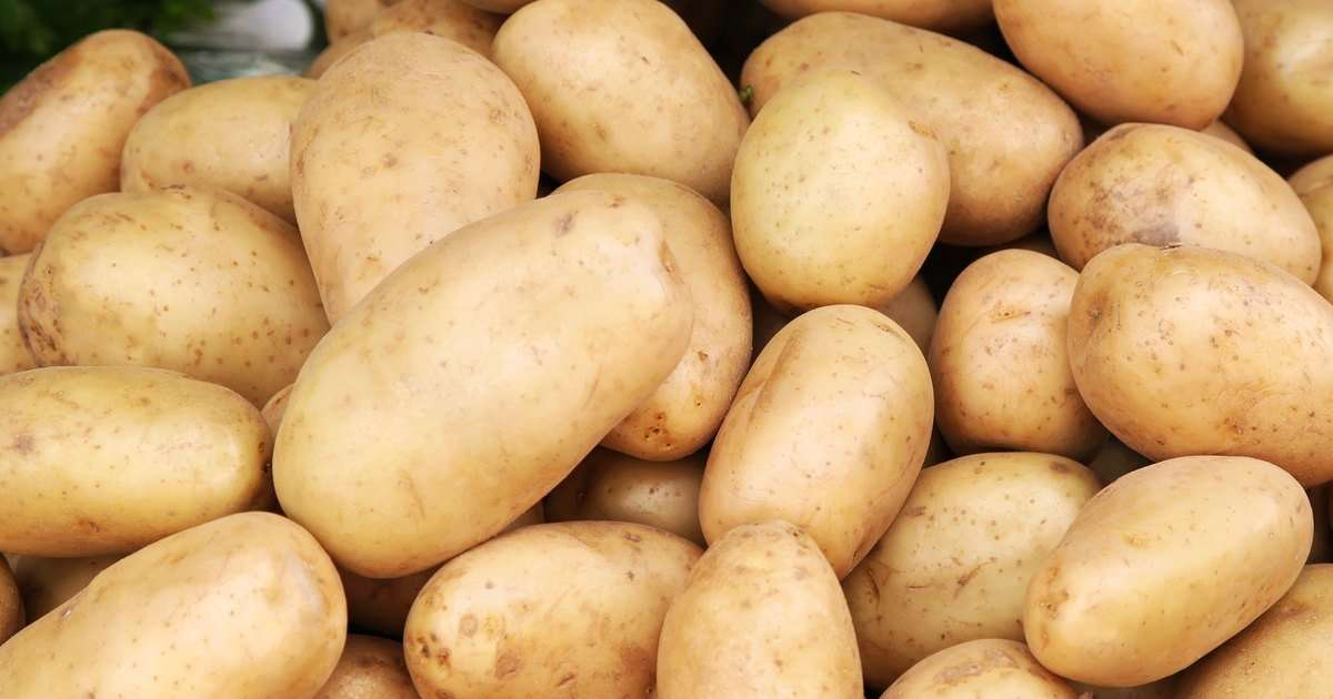 Do Potatoes Improve Cholesterol Levels?