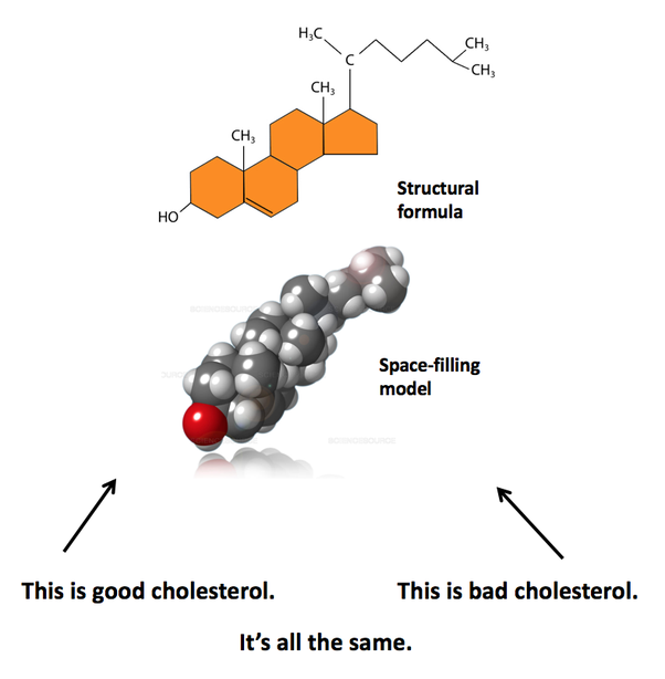 Does cholesterol make the plasma membrane more fluid or ...