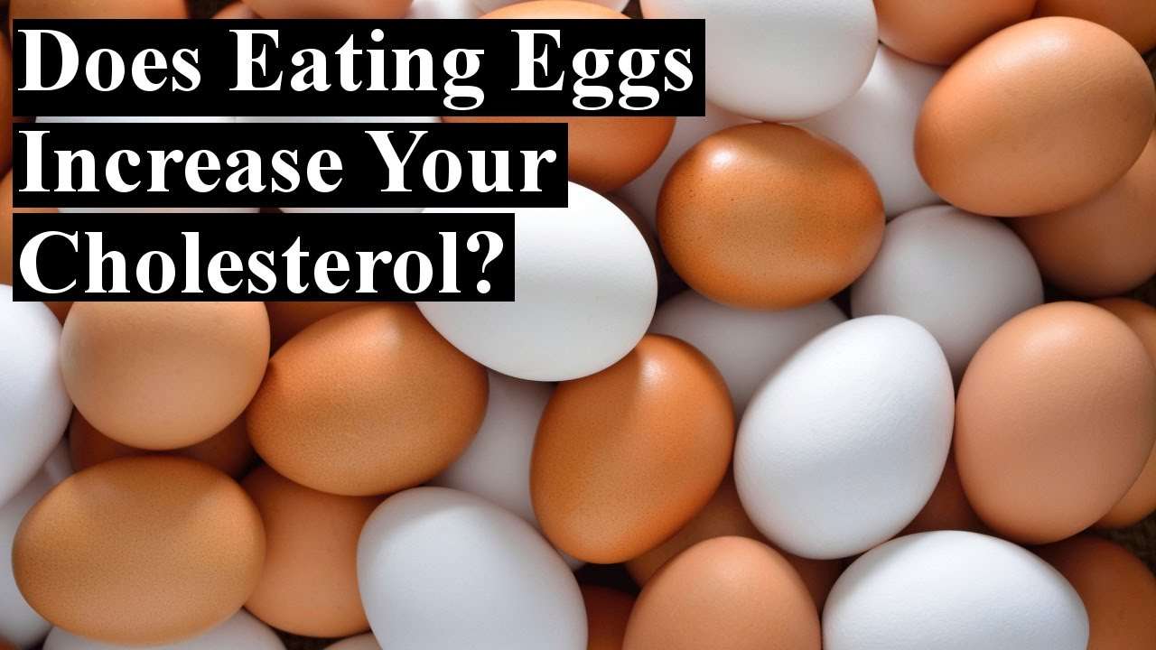 Does Eating Eggs Increase Your Cholesterol?