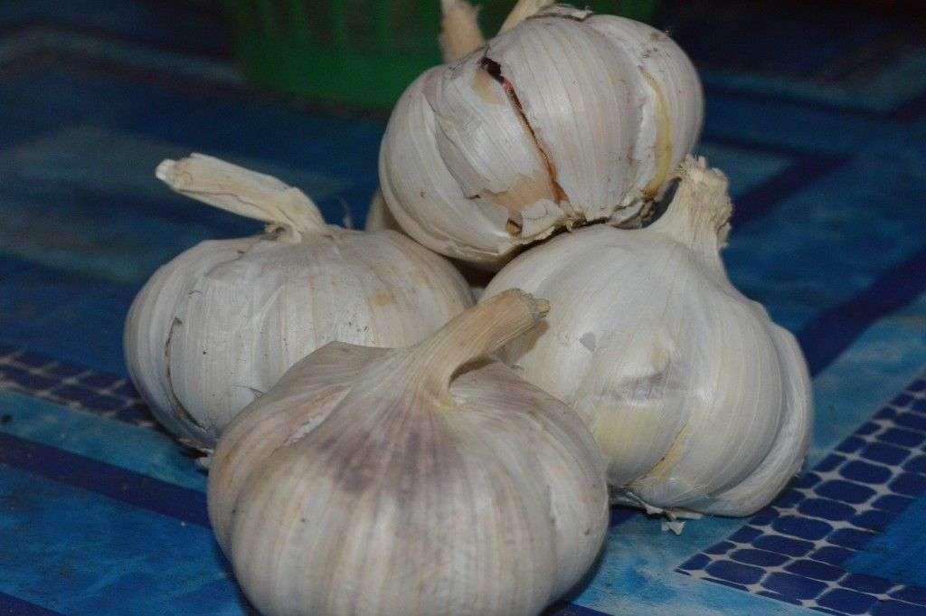 Does Garlic Lower Cholesterol Significantly?
