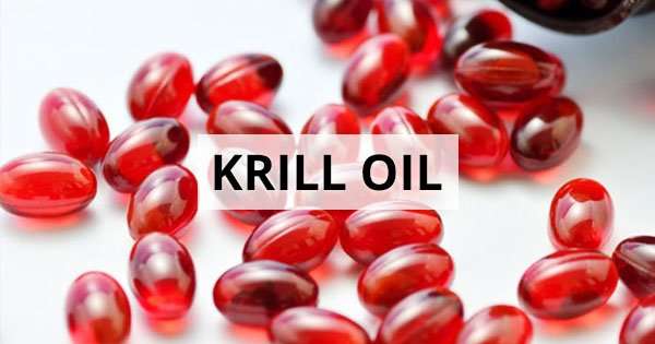 Does Krill Oil Lower Cholesterol?