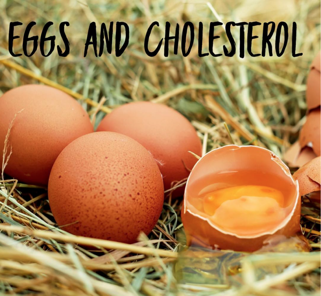 Eggs and CHolesterol