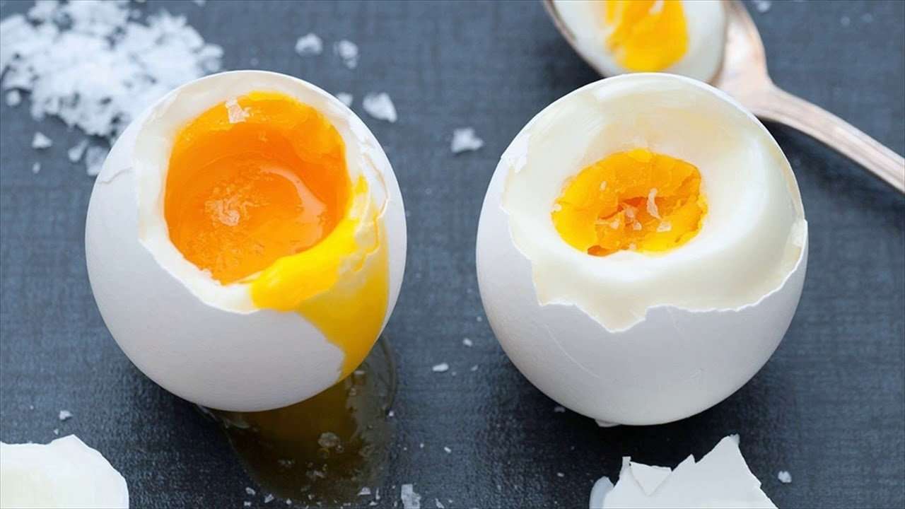 Eggs Do Not Increase Blood Cholesterol