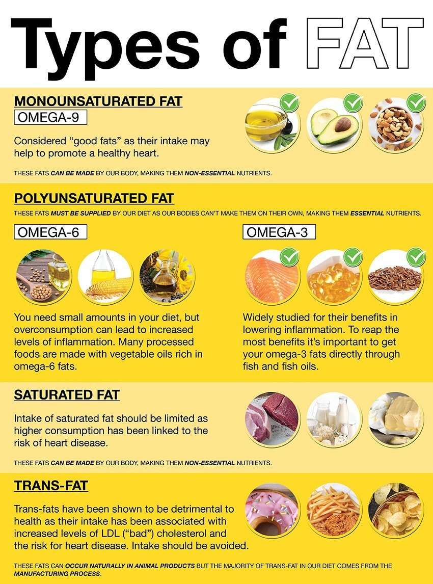 Fats Explained