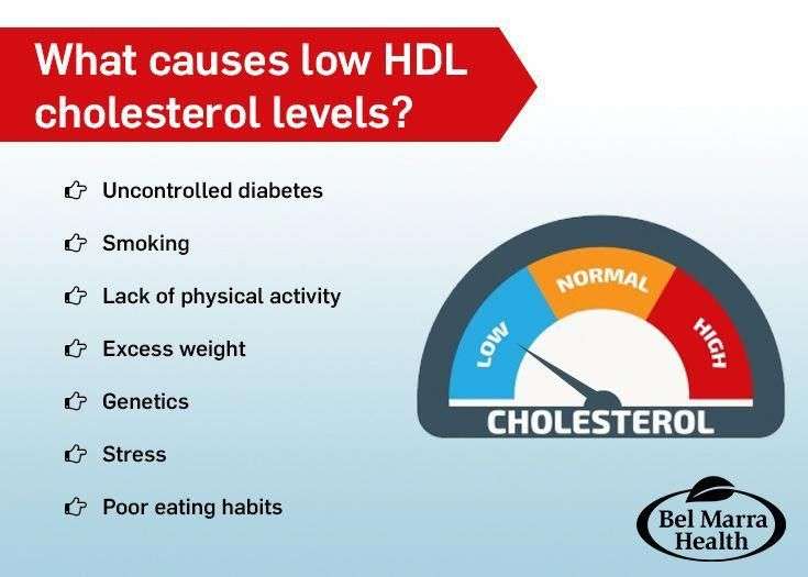 Get to know causes of low HDL cholesterol levels. #cholesterol #lowHDL ...