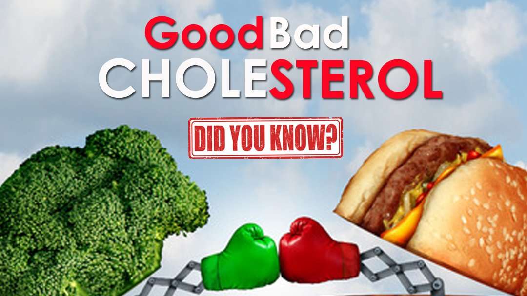 Good and Bad Cholesterol  OKI
