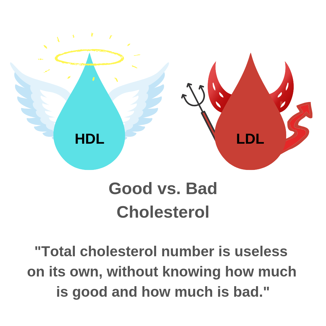 Good vs. Bad Cholesterol (1)  Paging Doctor T