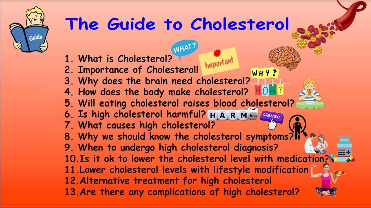 Guide to Cholesterol, Lipoproteins &  High Cholesterol ...