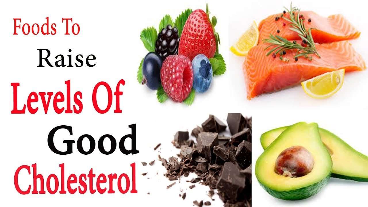 Hdl cholesterol high Foods