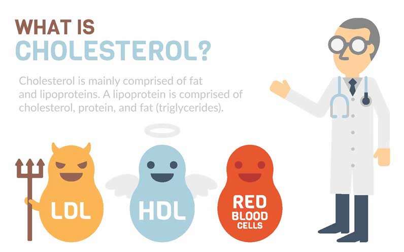 HDL (Good), LDL (Bad) Cholesterol and Triglycerides ...