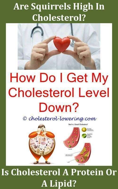 Hdlcholesterollow What Does Cholesterol Do To You?,cholesterol can i ...