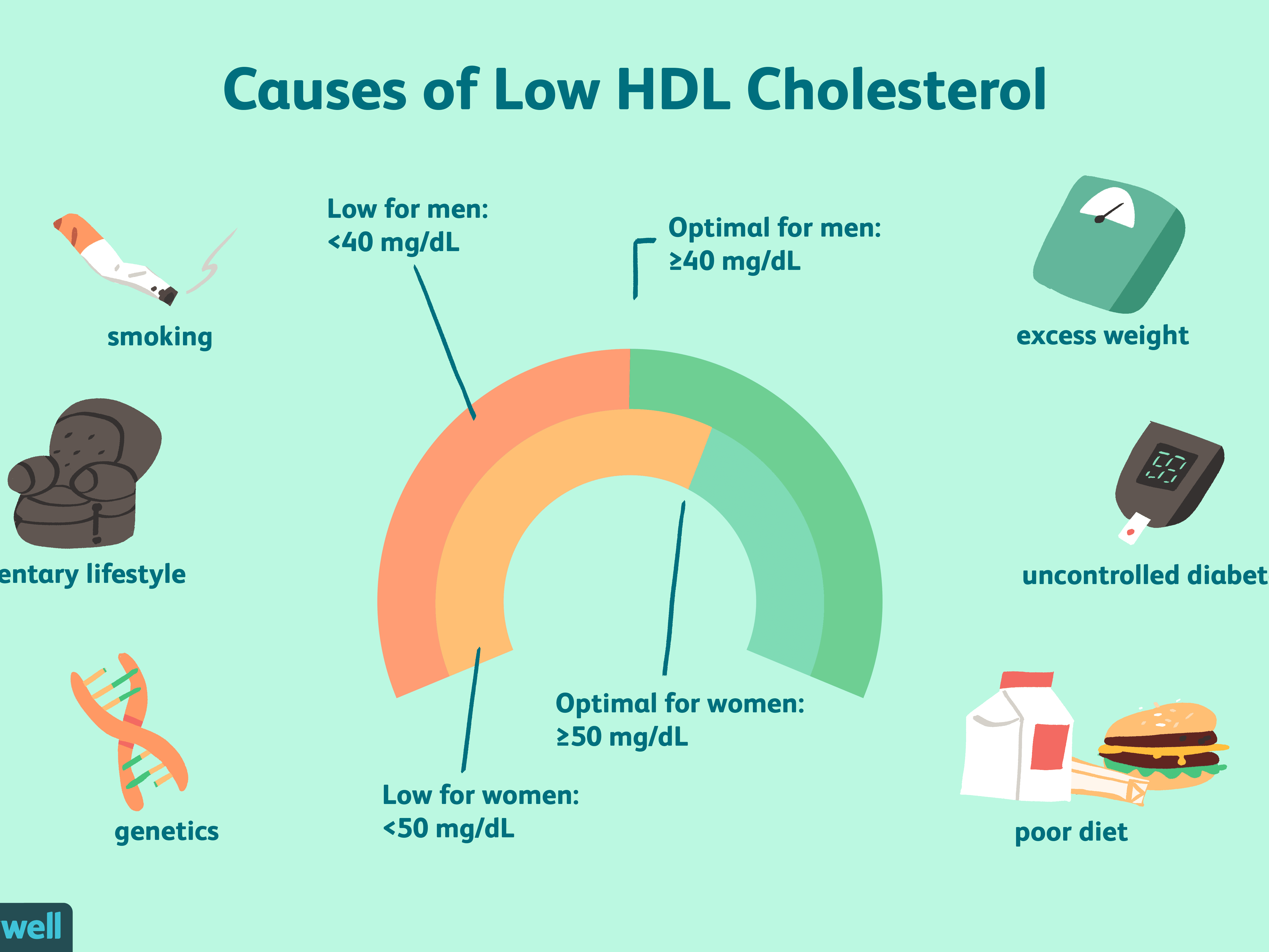 High Ldl Cholesterol But Hdl