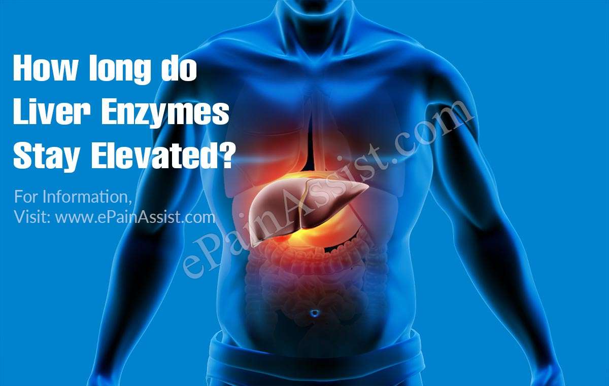 How long do Liver Enzymes stay Elevated?