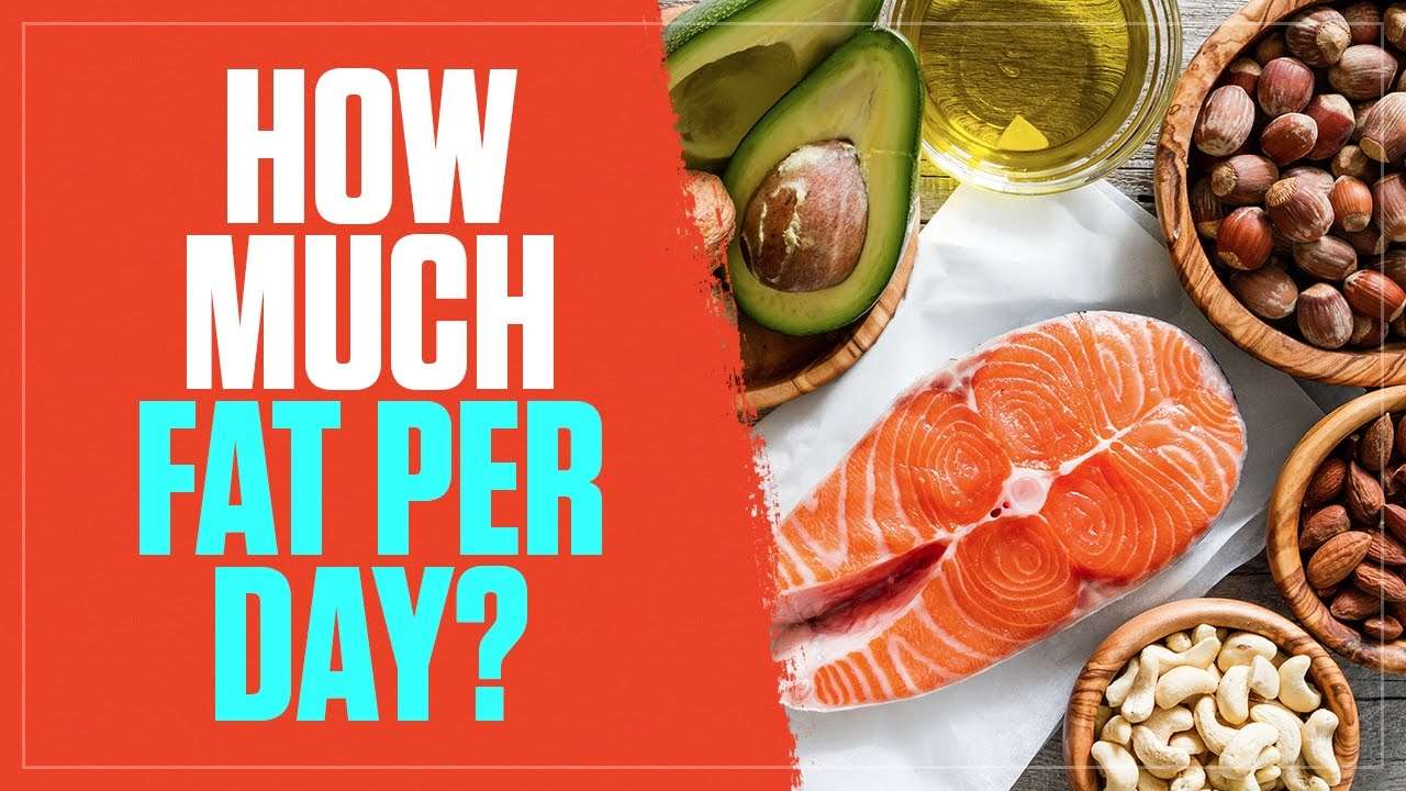 How Many Grams of Fat Should You Eat Per Day?