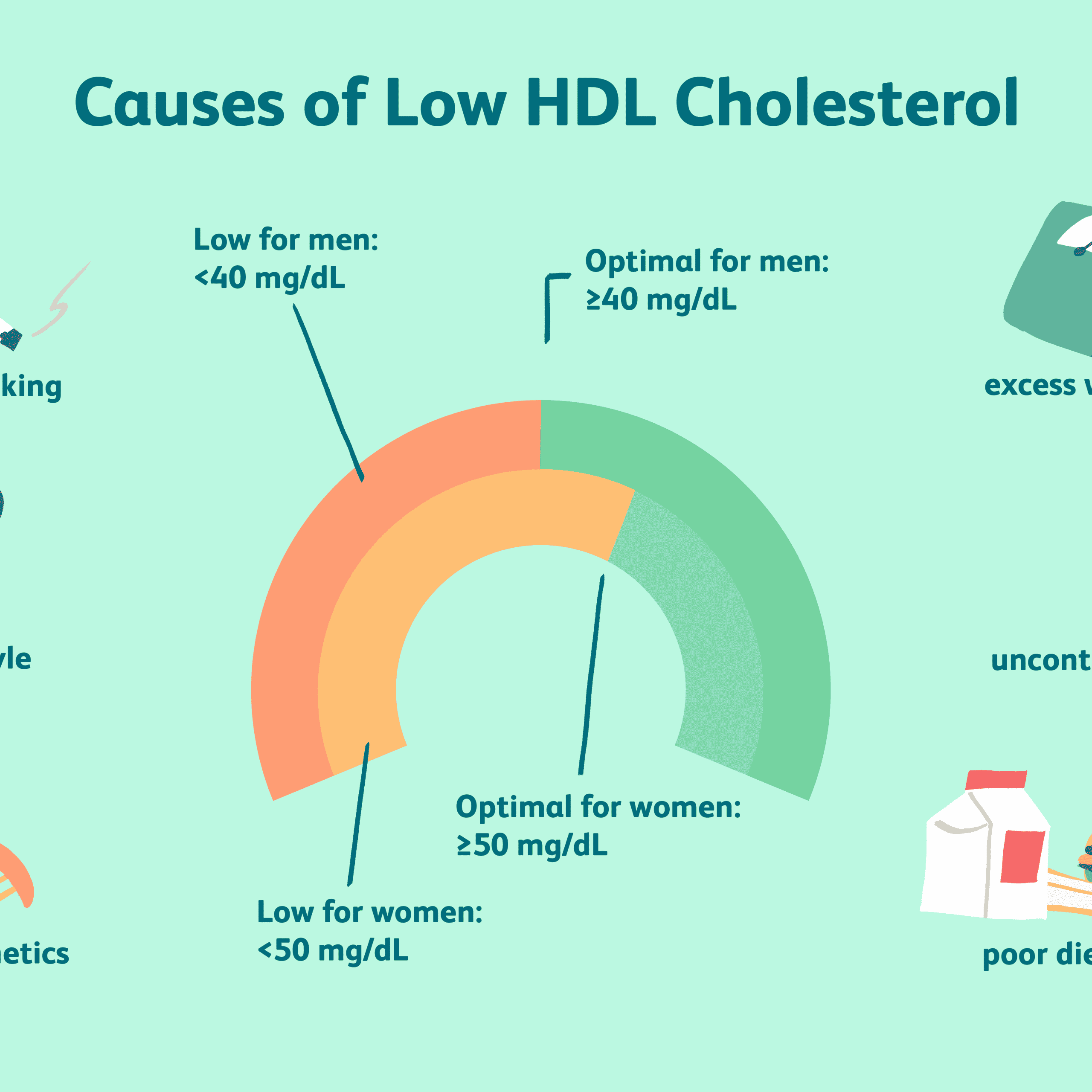 How much hdl cholesterol is normal â Health News