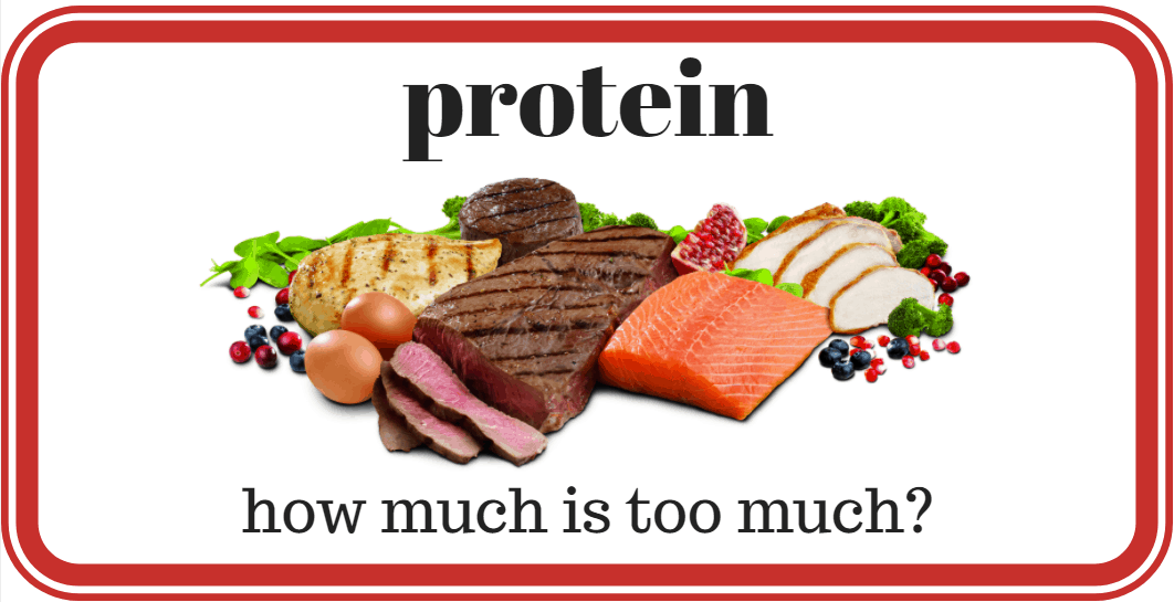 how much protein is too much?