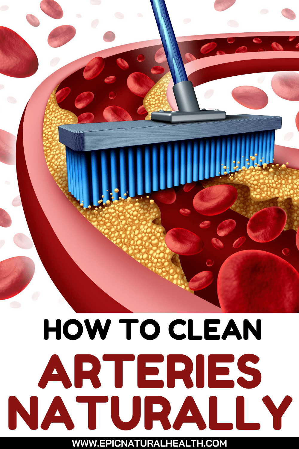 How To Clean Arteries And Remove Bad Cholesterol Naturally ...