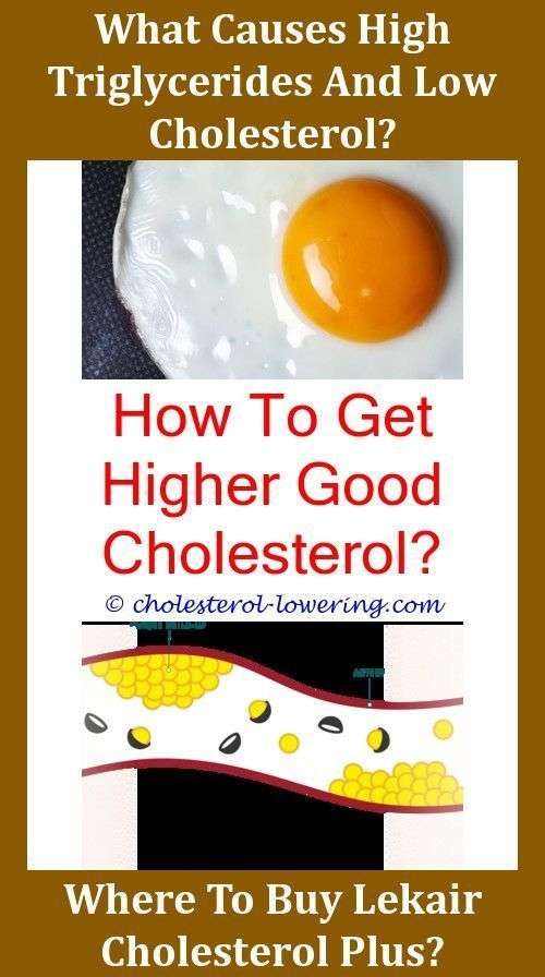 How To Fix High Cholesterol Naturally?,how do i litter my ...