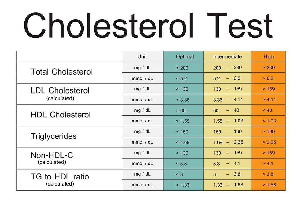 How to Read and Understand Cholesterol Numbers