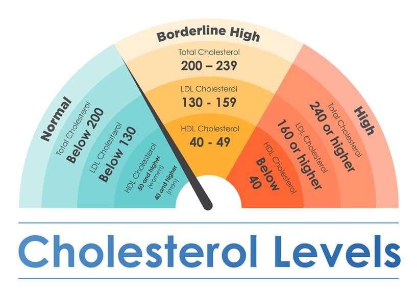 How to Reduce Cholesterol in Seniors