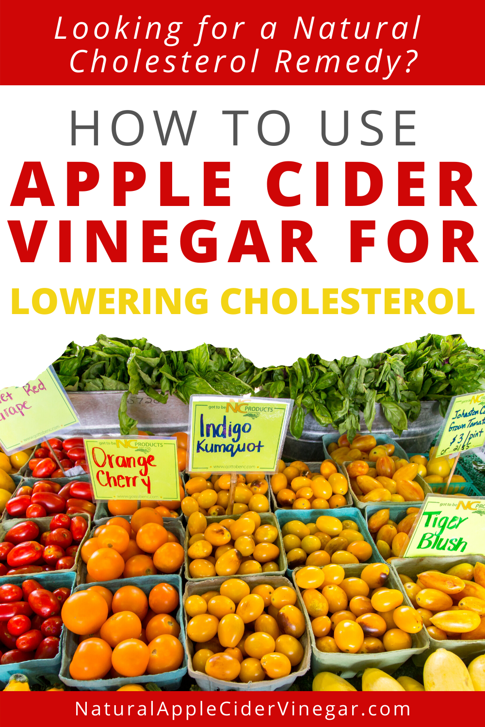 How to Use Apple Cider Vinegar for Lowering Cholesterol